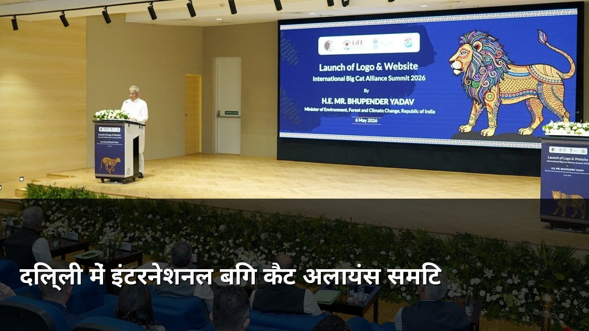 International Big Cat Alliance Summit in Delhi