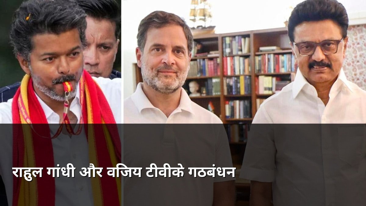 Rahul Gandhi and Vijay TVK Alliance
